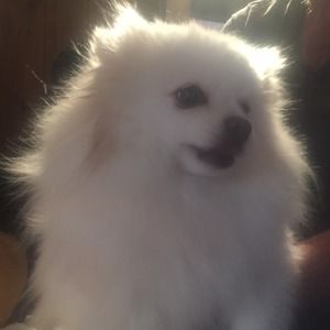 Meet your Posher, Cathy